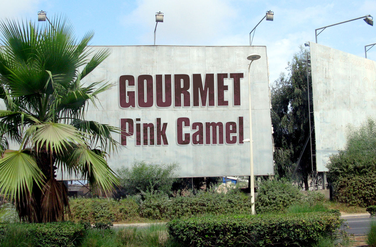 The cover of Gourmet's single Pink Camel.